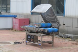 Kích thước nhỏ hộ gia đình giá thấp hoàn toàn tự động thịt <span class=keywords><strong>Slicer</strong></span> thịt tươi cắt <span class=keywords><strong>Slicer</strong></span> máy - Product Image 4