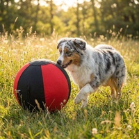 Balle interactive OEM grande taille pour l'agilité des chevaux de berger, durable et anti-éclatement, avec housse en nylon robuste et lavable