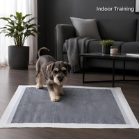 Almohadillas de Entrenamiento para Perros Desechables de Carbón de Bambú y PE, Núcleo Ultra Absorbente, Control de Olores, Diseño Ecológico e Impermeable IP67