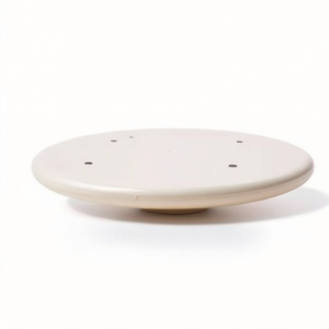Disco de Fibra de Vidrio de 47 cm y 2 kg para Entrenamiento de Deflexión GK - Product Image 2