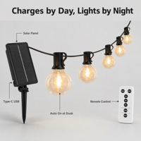 Guirlande lumineuse LED à ampoules en verre G40, alimentée par énergie solaire, AC 110V AC 220V DC 24V, multi-tension, éclairage décoratif extérieur pour jardin et patio