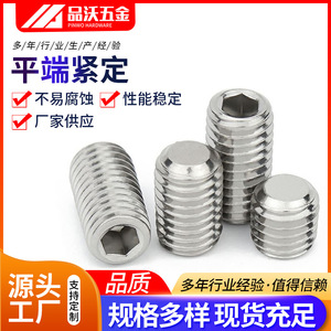 Pinwo Flat End Set <b>Screw</b> Metric A2-70 Stainless Steel Hex Socket DIN913 Standard Thread - Product Image 5