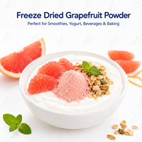 Fabrieksleverancier van gevriesdroogd grapefruitpoeder, rode grapefruit fruitpoeder