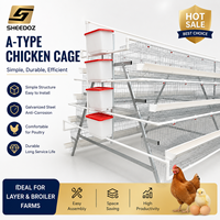 Cage à poules pondeuses de type A en acier galvanisé pour fermes avicoles, cages à œufs, équipement d'élevage RTL