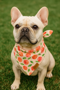 הסיטונאי בד פוליאסטר כלב בנדנה דפוס מותאם אישית כלב bandanas רב עיצוב קטן כלב גור חתול Bandanas - Product Image 6