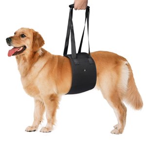 Arnés de Soporte para Perros, Cinturón de Ayuda para Mascotas Mayores, Enfermas o Discapacitadas, Estilo Mochila, Poliéster Negro, Talla Mediana - Product Image 1