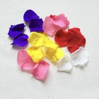 Pétales de rose véritable préservés de haute qualité, longue durée (3-5 ans), pour décorations florales de mariage et cadeaux de la Fête des Mères