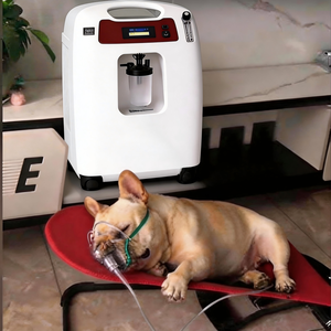 Concentrador de Oxígeno Veterinario de 5L, Generador de Oxígeno Portátil para Animales, Máquina de Oxígeno para Mascotas para Uso en Clínicas y Hospitales - Product Image 5