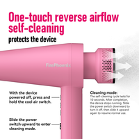 Sèche-cheveux professionnel FirePhoenix M2 OEM ODM 2200W à moteur brushless haute vitesse, ionique anti-frisottis, léger 430g, prise UE