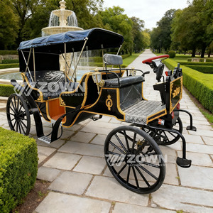 Vintage Royal Victorian Tourism Sightseeing Royal Horse Carriage Luxury Royal Horse Carriage Cart Electric <b>Princess</b> Wedding - Product Image 5