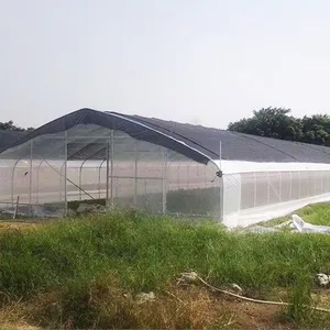 Hydro ponic Growing System Landwirtschaft Poly High Tunnel Gewächshaus Günstige Tomaten Gewächshaus zu verkaufen