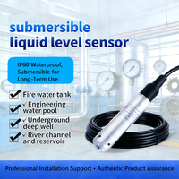 Atech PL 301 Stainless Steel Submersible Level Transmitter with 0.05% Accuracy and Current/Voltage Output