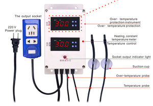 ตัวควบคุมอุณหภูมิและความชื้นแบบตั้งโปรแกรมอัตโนมัติ Rex-C400 สำหรับตู้ฟักไข่ รุ่น CL809A-2 วัสดุพลาสติก รองรับ ODM/OEM แรงดันไฟฟ้า 85-265VAC รุ่น CL809  รองรับสัญญาณอินพุต 4-20 มิลลิแอมป์ - Product Image 4