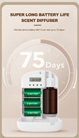 Difusor de Aroma Eléctrico al por Mayor, Nuevo, con Batería, Enchufable a la Pared, Máquina de Aromaterapia sin Agua para Hoteles