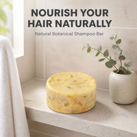 Shampooing Solide Botanique Naturel Nettoyant Capillaire Contrôle du Sébum Marque Privée OEM ODM 60g