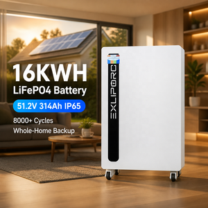 Home <b>Energy</b> <b>Storage</b> <b>System</b> 16kWh 51.2V 314Ah LiFePO4 IP65 8000+ Cycles RS485 Bluetooth APP Monitoring OEM ODM - Product Image 1