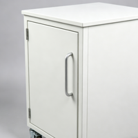 Armoire mobile de laboratoire à porte simple tout acier avec roulettes pour un rangement flexible sous le banc et une utilisation comme poste de travail en laboratoire