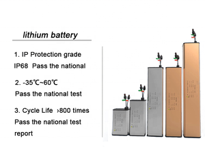 Pin Sạc Lithium 12.8V Để Lưu Trữ Năng Lượng Pin 12V Cho Pin Năng Lượng Mặt Trời 12V Để Sao Lưu - Product Image 6