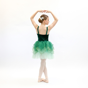 Costume de tutu romantique pour filles, robe de ballet en tulle superposé dégradé, avec accents floraux, tenue de danse de scène pour fée et sirène - Product Image 4