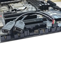 Câble d'extension de données adaptateur 9 broches pour carte mère 15 cm vers USB 2.0 AF + Type-E femelle