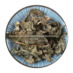 Venta al por mayor grande para Dove Mia Village Fan con flor desnuda <span class=keywords><strong>hoja</strong></span> de perla púrpura <span class=keywords><strong>hoja</strong></span> de viento arroz seco sopa estilo tipo de procesamiento crudo - Product Image 3