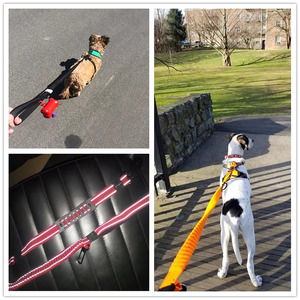<span class=keywords><strong>Laisse</strong></span> pour <span class=keywords><strong>chien</strong></span> Nibao réfléchissante, absorbant les chocs, double rembourrage en néoprène, deux poignées, bungee - Product Image 3