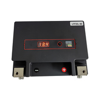 Batería Líquida para Motocicleta TNE LFP30L-BS 12V 18Ah 810CCA con Pantalla LCD, 2000 Ciclos, para Motocross Davidson