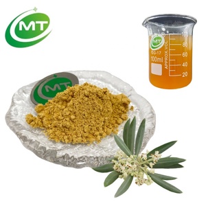 Tự nhiên chất chống oxy hóa và chống viêm chiết xuất thảo dược phổi sức khỏe hỗ trợ 40% oleuropein 10% hydroxytyrosol ô liu lá chiết xuất - Product Image 2