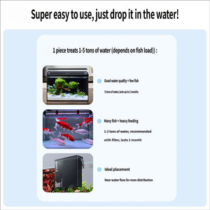 Ladrillo Bio-Cerámico para Acuario, Casa <span class=keywords><strong>de</strong></span> Bacterias <span class=keywords><strong>de</strong></span> Cultivo Rápido, Ladrillo Nitrificante <span class=keywords><strong>de</strong></span> Baja Resistencia, Piedra Filtrante para Acuarios Marinos <span class=keywords><strong>de</strong></span> Arrecife, Suministro a Granel - Product Image 4