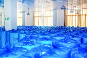 Bandages en gaze de coton respirants et conformes de qualité supérieure 21S pour trousse de premiers secours - Product Image 6