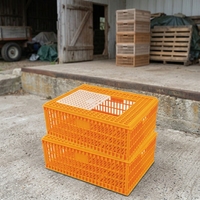 Nouvelle caisse de transport portable pour volailles, boîte de transport pour canards, oies, poulets, caisse en plastique