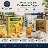 Gefreeze-droogde Kumquat Citroen Thee Kubus Instant Fruitthee Drank OEM Private Label Leverancier China Voedingsmiddelenkwaliteit 12 Maanden Houdbaarheid