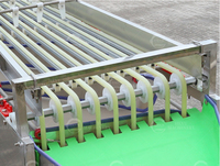 Kersen sorteermachine met roestvrijstalen rollers voor passievrucht, pruim, jujube, sinaasappel en kleine bessen.