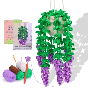 Kệ Tường Crochet Nhà Máy Hoa Phòng Ngủ Sống Trang Trí Nội Thất Món Quà Bán Buôn Treo Hoa Crochets