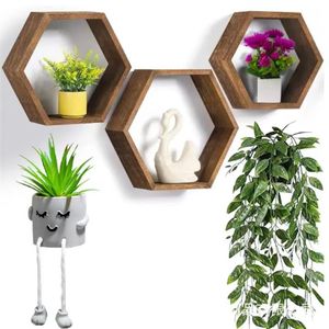 <b>Wall</b>-<b>mounted</b> wooden hexagonal grid storage <b>shelf</b> for succulent plants, living room decorative <b>wall</b>-<b>mounted</b> rack - Product Image 1