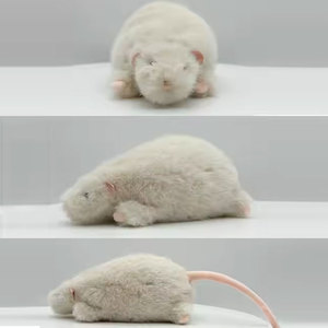 OEM Hot Bán Sang Trọng Nhồi Bông Chuột Đồ Chơi Chuột Búp Bê Sang Trọng Cho Sinh Nhật Tốt Nghiệp Lót Chất Liệu Lưới PP Bông Quà Tặng Cho Những Người Yêu Chuột - Product Image 5