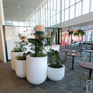 Macetero Redondo de Fibra de Vidrio Blanco de Lujo - Decoración Exterior Duradera para Vestíbulos de Hoteles y Centros Comerciales - Product Image 3