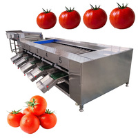 Fruit En Groente Druivenkersen Ui Aardappel Grootte Sorteermachine