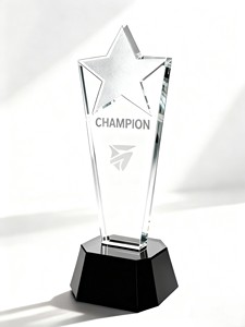 Trofeo Personalizzato in Acrilico per Riconoscimenti Aziendali, Regalo di Apprezzamento Inciso su Misura per Cerimonie Annuali - Product Image 2