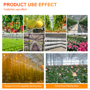 Lámpara LED de Cultivo ROHE de 480W/420W, IP65, de Aluminio, con Espectro Azul Teal de Doble Pico, para Cultivo Interior y Apoyo al Floración de Plantas - Product Image 6