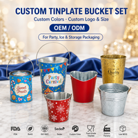 Ensemble de seaux en fer blanc avec couleurs et logo personnalisés pour fêtes de carnaval, glace et emballage de stockage, OEM ODM, faible MOQ, direct usine