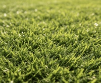 Gazon artificiel en PE écologique haute densité pour terrains de sport et jardins, 20 mm, ignifuge, résistant aux UV, installation facile, football
