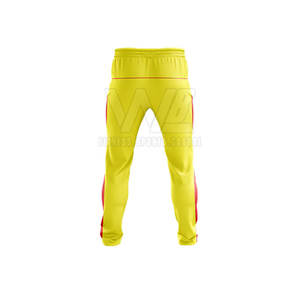Dernier design, haute qualité, nouvelle arrivée, vente en gros, impression de logo personnalisée, uniforme de cricket en polyester 2025 - Product Image 6