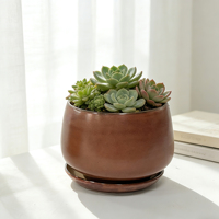 Pots à fleurs décoratifs personnalisés, pots à succulentes en céramique écologiques classiques, petits pots de jardinage pour la maison