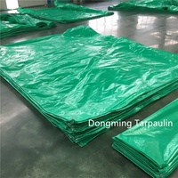 Tissu imperméable transparent vert de couverture de camion de bâche de PVC/PE du fabricant de la Chine avec le modèle enduit pour des garçons et des filles