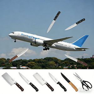 บริษัท TY Kitchen Knives Logistics จัดส่งมีดครัวแบบ 2 วัน จากกวางตุ้ง ผ่านบริษัท Emile Corp ไปยังเม็กซิโก - Product Image 1