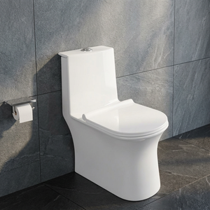 WC monobloc Specto Black Gold Ceramic à double chasse et autonettoyant, à poser au sol, pour villa - Product Image 3