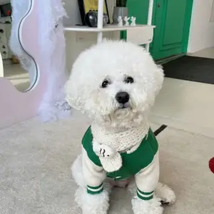 Japan und Südkorea Herbst Winter Hund Bär Baseball Uniform Strick pullover Cardigan Katze zwei Fuß Sport mode