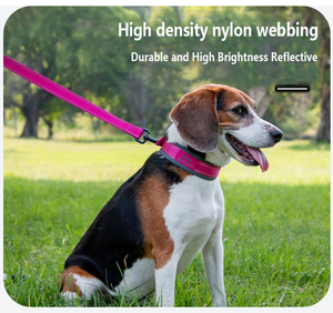 Collar de Perro Personalizado, Táctico, de Nailon con Patrón Sólido, Impermeable, Moderno y Lujoso <span class=keywords><strong>para</strong></span> Paseos al Aire Libre, con Logotipo Bordado y Cintas Simples - Product Image 3