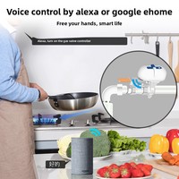 Contrôleur intelligent Zigbee pour conduite de gaz domestique, application Tuya, télécommande programmable, vanne d'eau 12V1A